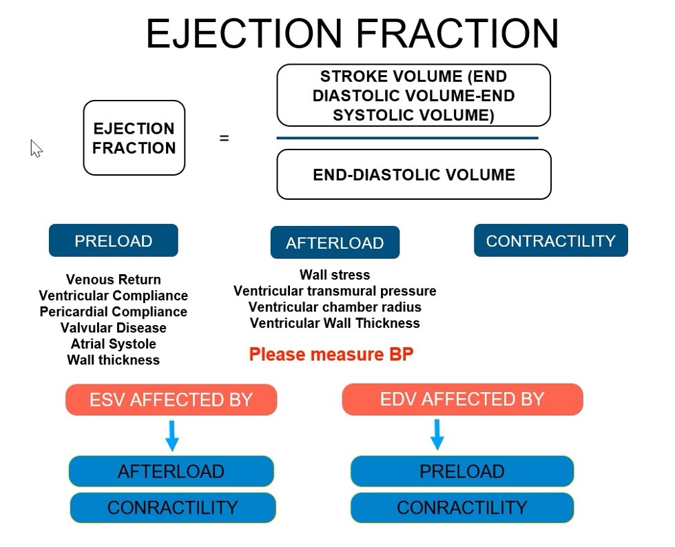 <ul><li><p>Percentage of EDV ejected from heart with each beat&nbsp;</p></li><li><p>55-75%</p></li><li><p>Left side of heart</p></li><li><p>Weak heart = EF decreased</p></li><li><p>Small aortic opening = decreased EF&nbsp;</p></li><li><p>Increased TPR = decreases SV - hard to pump blood out of heart&nbsp;</p></li><li><p>Heart failure: An MI kills heart muscle and affects its ability to pump effectively (decreases contractility)</p></li><li><p>Heart failure decreases ejection fraction and increases our left ventricular end diastolic volume, which increases our preload - which will lead to renal failure&nbsp;</p></li><li><p>OR we decrease our renal perfusion, which triggers our RAAS system and increases our blood pressure (increasing afterload and causes HTN)</p></li><li><p>Low EF = systolic HF</p></li><li><p>Low EDV = diastolic HF</p></li><li><p>Increase in preload = increase in blood return to heart </p></li></ul><p></p><div data-type="horizontalRule"><hr></div><ul><li><p>EX: 100 ml of blood in the LV at end of diastole (EDV), and 60 mL of blood pumped with each beat during systole (SV), EF = 60%&nbsp;</p><ul><li><p>EDV around 120 mL</p></li><li><p>ESV around 50 mL</p></li><li><p>SV would be 70 mL</p></li><li><p>EF = 59%</p></li></ul></li></ul><p></p>