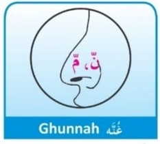 <p>Nasalización: Es la salida del aire haciendo una vibración por la nariz.</p>