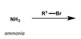 <p>mechanism + explanantion</p>