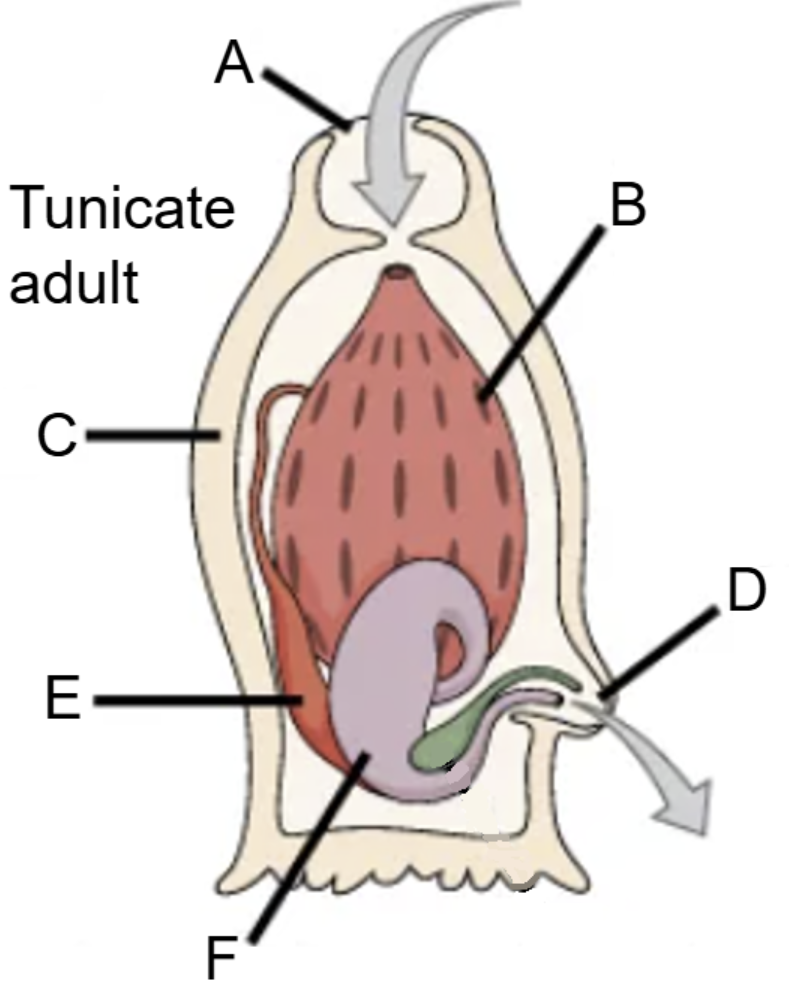 <p>Label the diagram.</p>