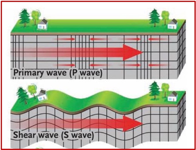 <ol><li><p>P waves</p></li><li><p>S waves</p></li></ol><p></p>