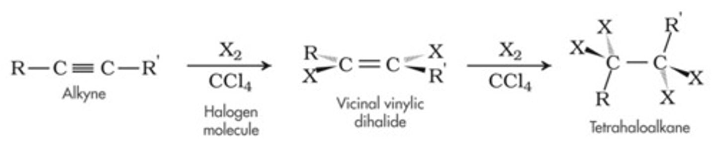 <p>-Reagents: Br2 or Cl2 in CCl4</p><p>-Addition</p><p>-First addition is usually trans</p><p>-Markovnikov addition</p><p>-Excess X2 ---> tetrahalides</p>