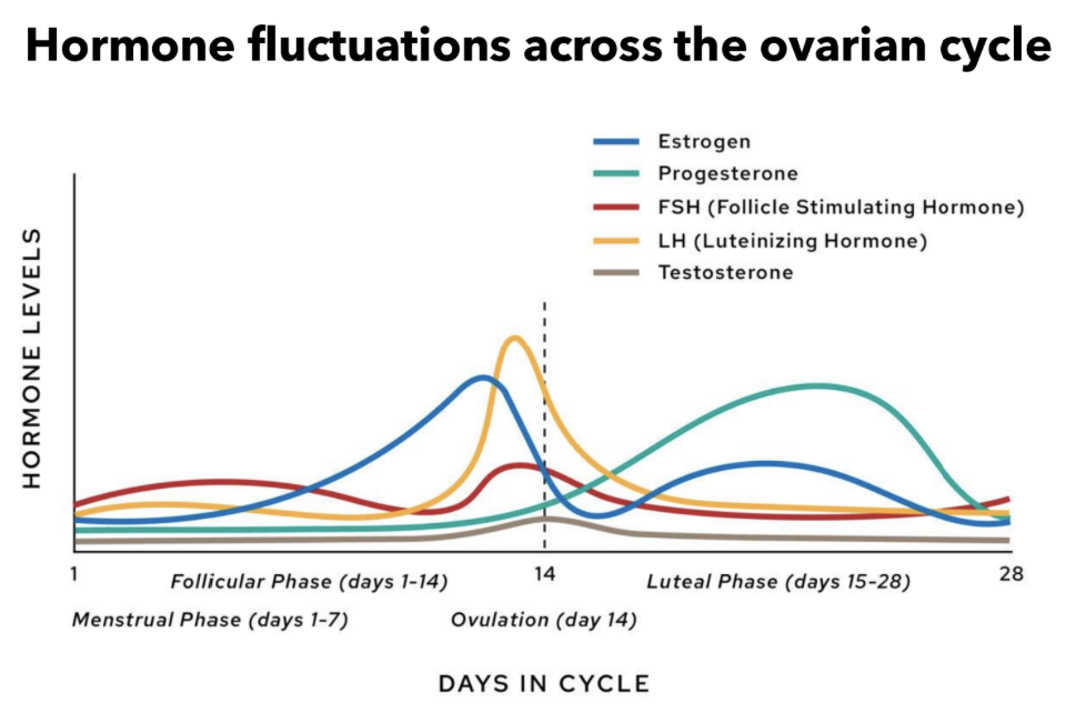 <p>Hormone fluctuations across ovarian cycle: what </p>