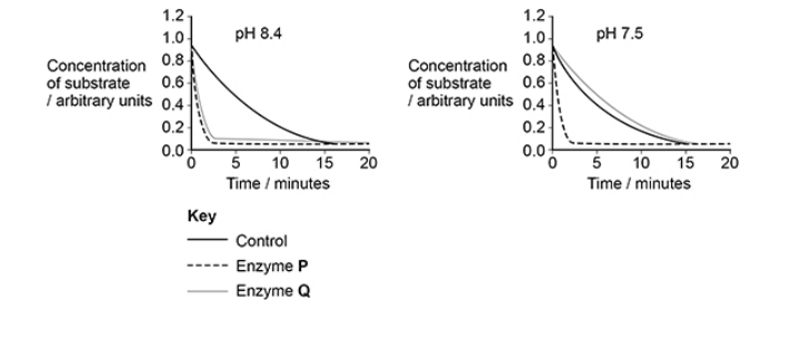 <p>Scientists investigated the effect of pH 8.4 and pH 7.5 on the activity of enzymes P and Q. The figure below shows their results.</p><p>Describe what the scientists should place in the control tubes in this investigation. (3) </p>
