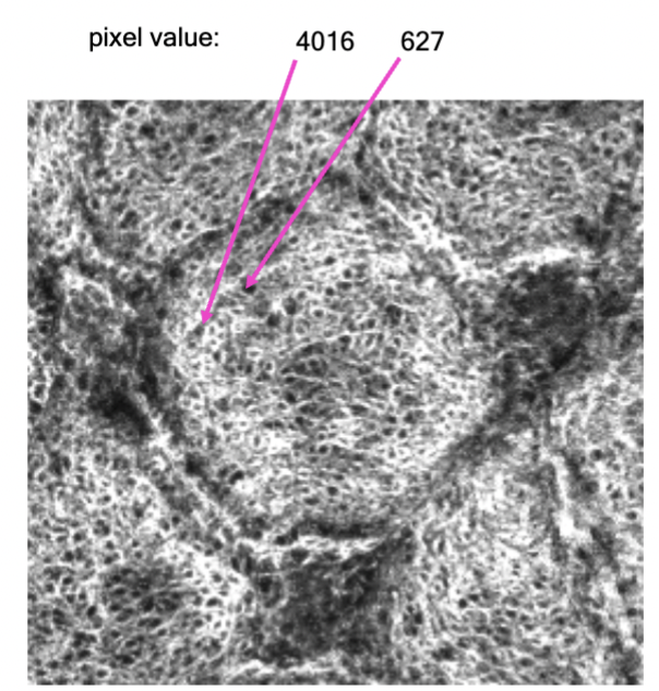 <p>0 (dark) to 65535 (light) </p><p>2<sup>16</sup> - 1 = 65535</p>