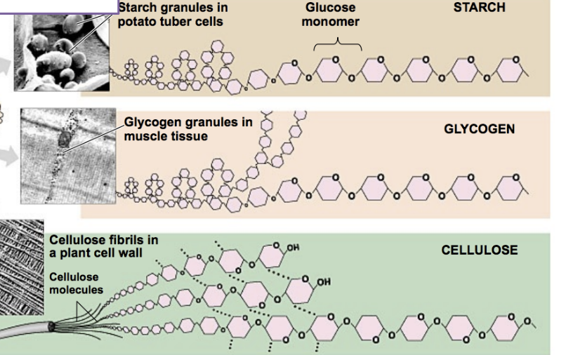 <p>examples of?</p>
