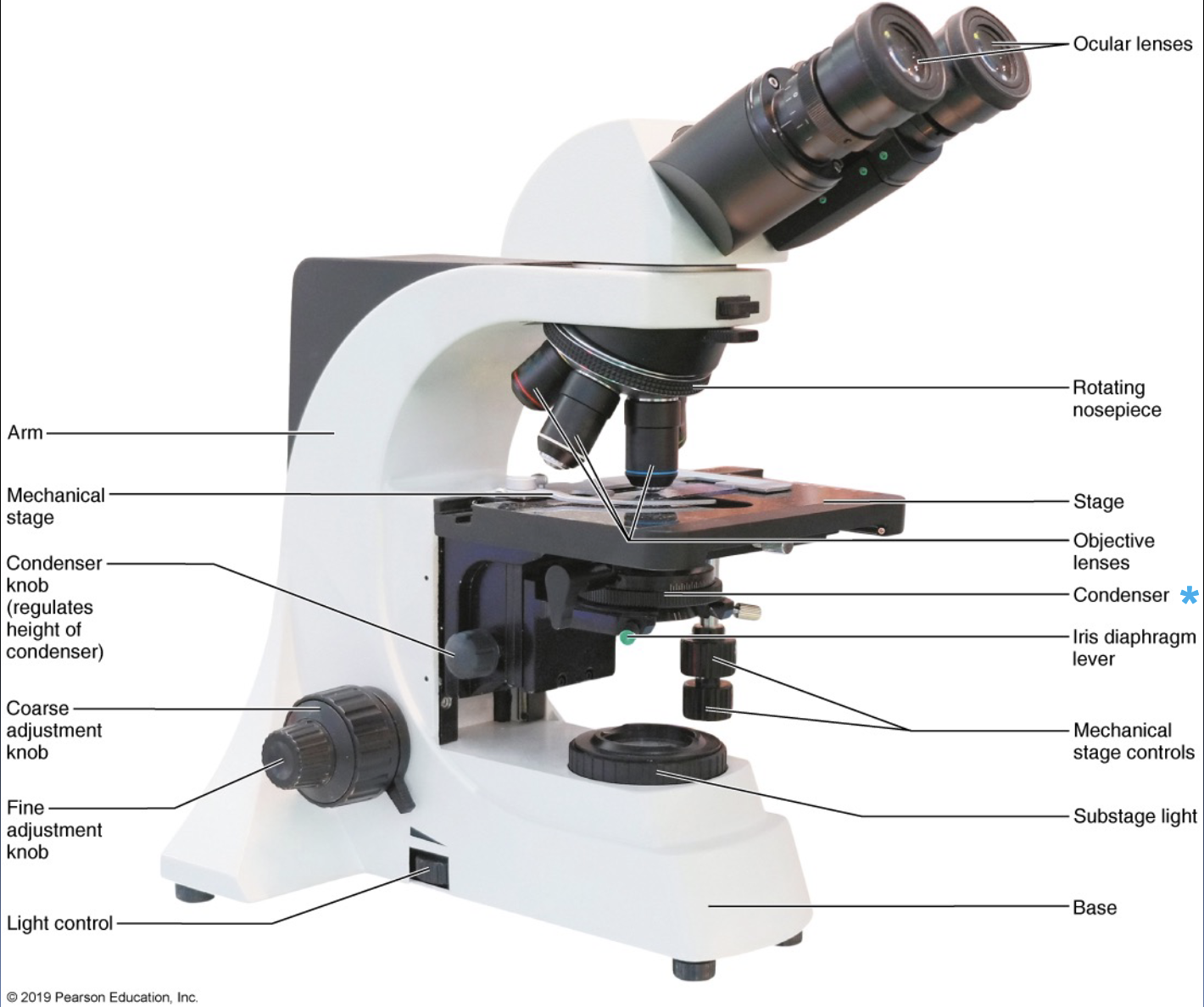 <p>Iris diaphragm lever function</p>