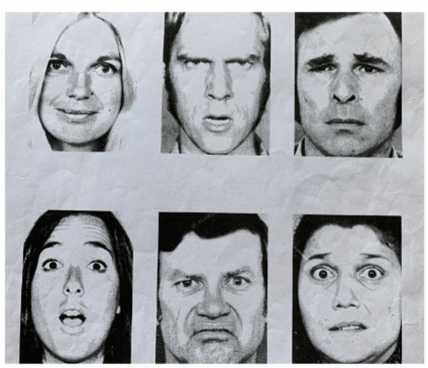 <p>emotion; found that facial expressions are universal</p><p>- 6 basic facial expressions = happy, anger, surprised, disgust, sadness, fear</p>