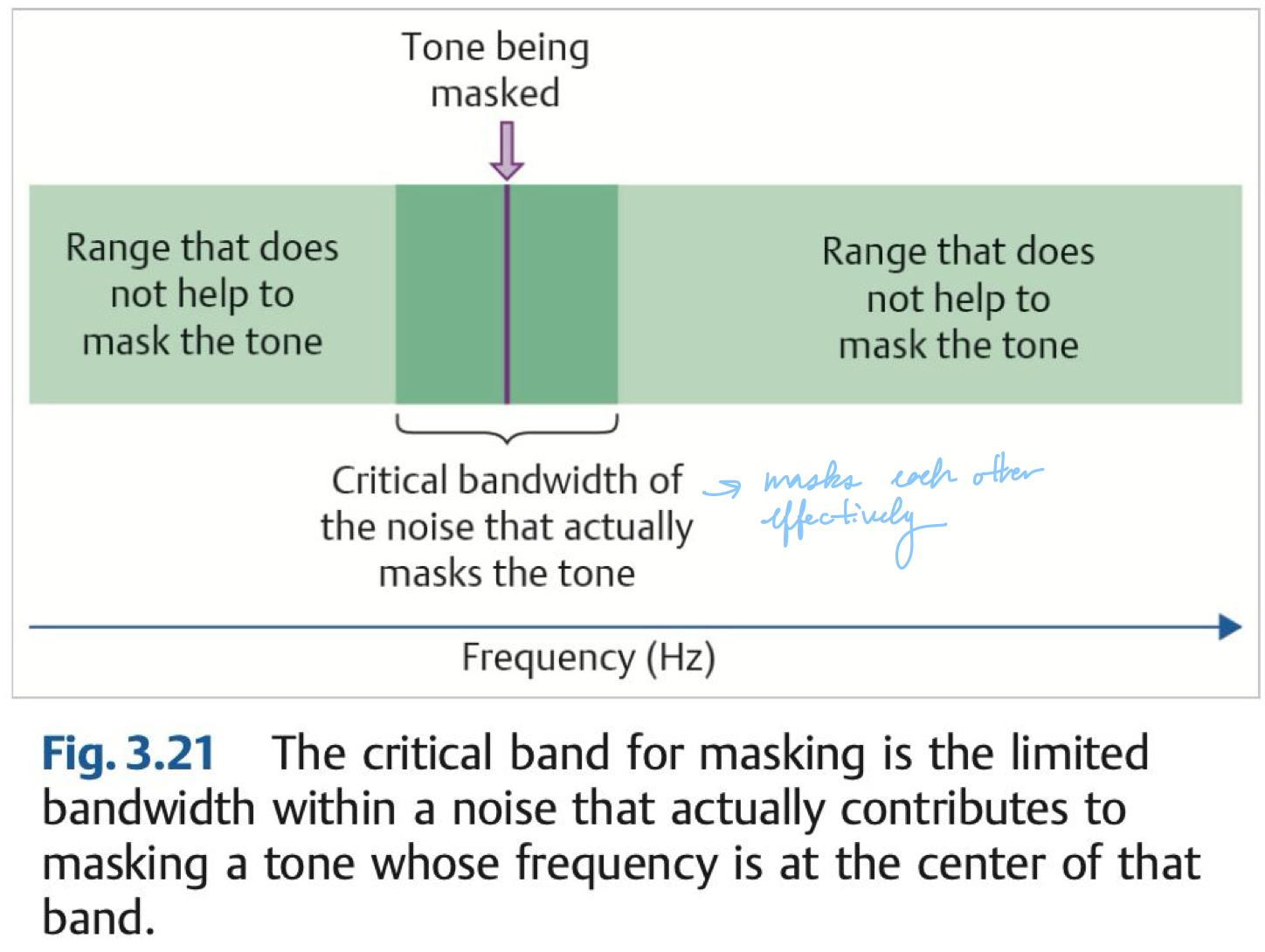 <p>Concept that refers to which frequencies are most efficient at masking the signal</p>