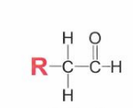 carbonyl group with hydrogen on one side and hydrocarbon carbon on the other