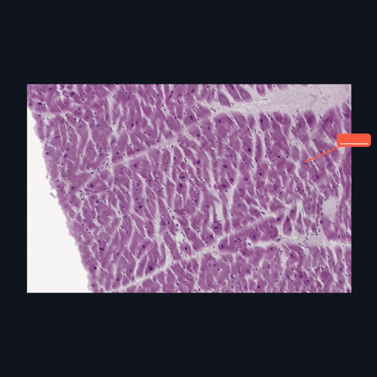 <p>Identify the structure</p>