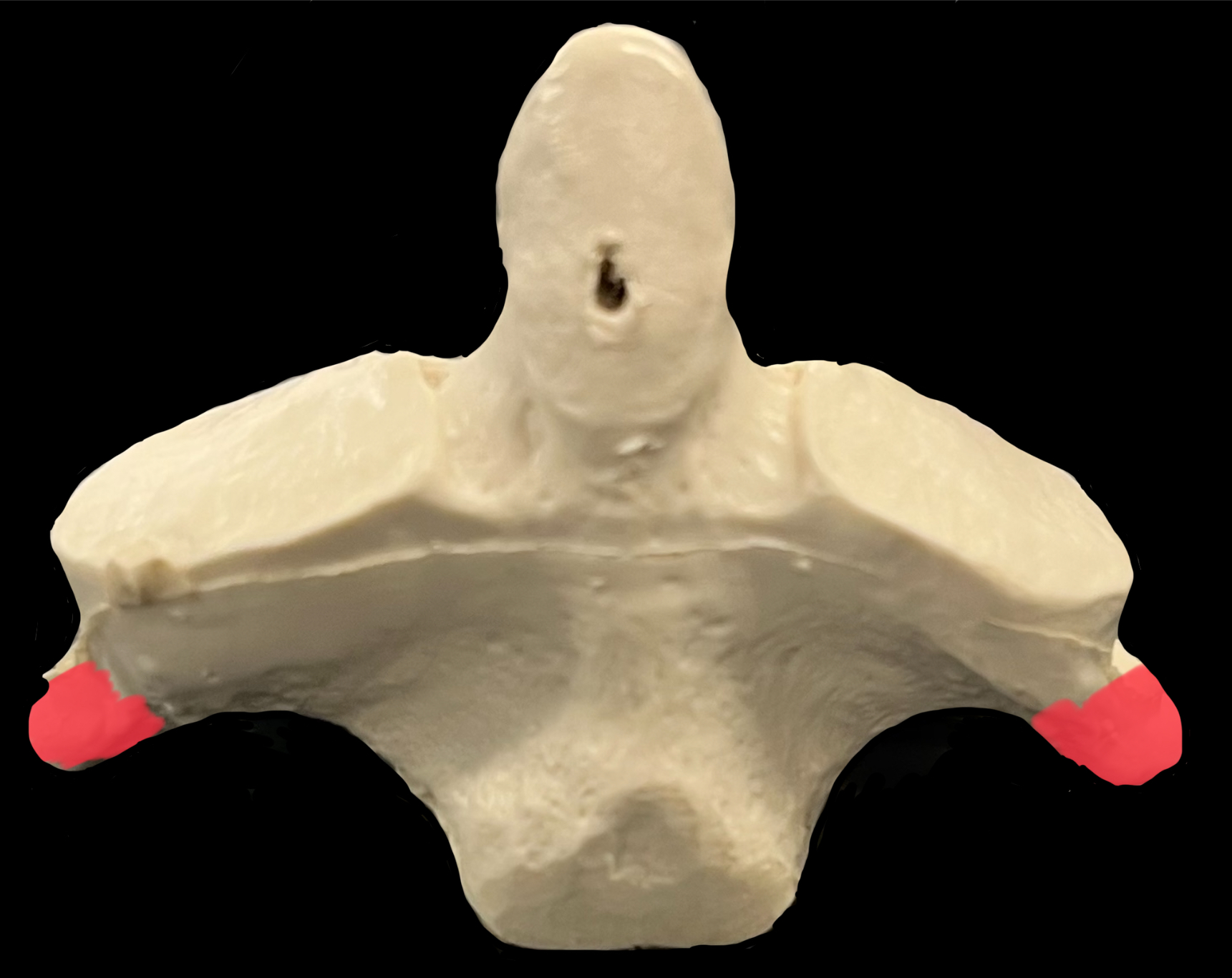 What is highlighted in red?