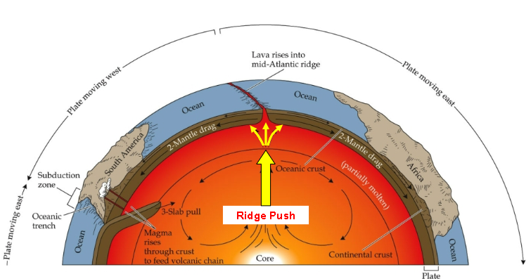 <p>ridge push-pushes up through mantle and forms new parts of plate</p><p>mantle drag-friction between mantle and plate create drag force</p><p>subduction-plates are pulled into magma </p>