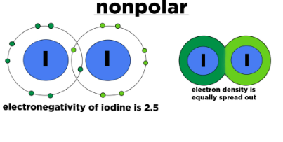 <p>Non-polar molecule</p>