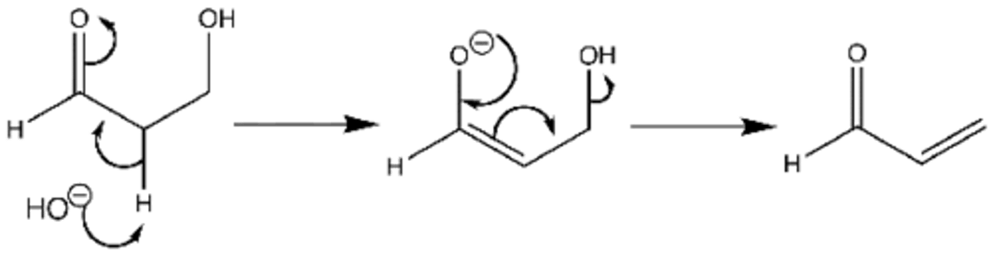 <p>A unimolecular elimination reaction in which a proton is first removed to give a carbanion intermediate, which then expels the leaving group in a separate step</p><p>cb = conjugate base</p><p>1 = first order reaction</p>