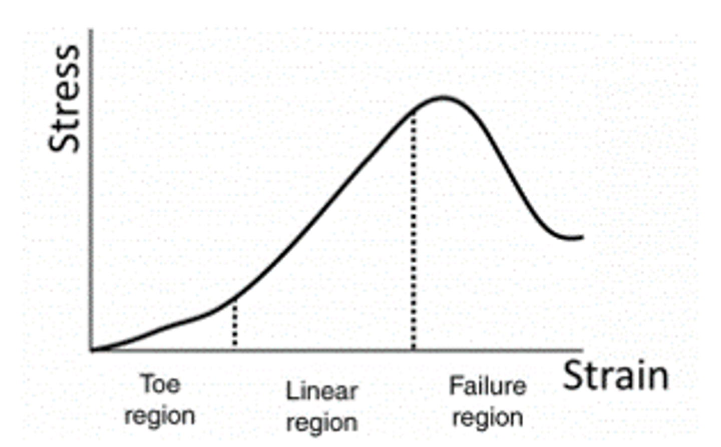 <p>Three main areas:</p><p>. Toe (Región basal) -&gt; small stress provokes big strain. Fibers at rest are folded. In this area they move from fold to parallel.</p><p>. Elastic area -&gt; Fibers are unfolded and strain and stress are proportional</p>
