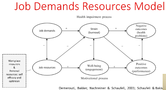 <p>What is the job-demands resources model?</p>