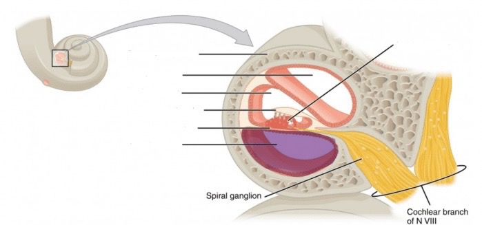 <p>What is this?</p>