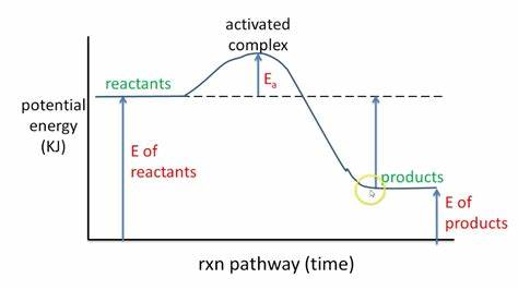 <p>less energy is needed to break the bonds than is released when forming the new compounds</p>