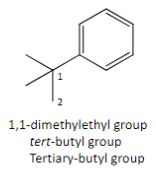 <p>Tert-butyl group</p>