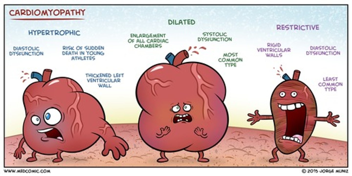 <p>restrictive → also see R CHF sx</p>