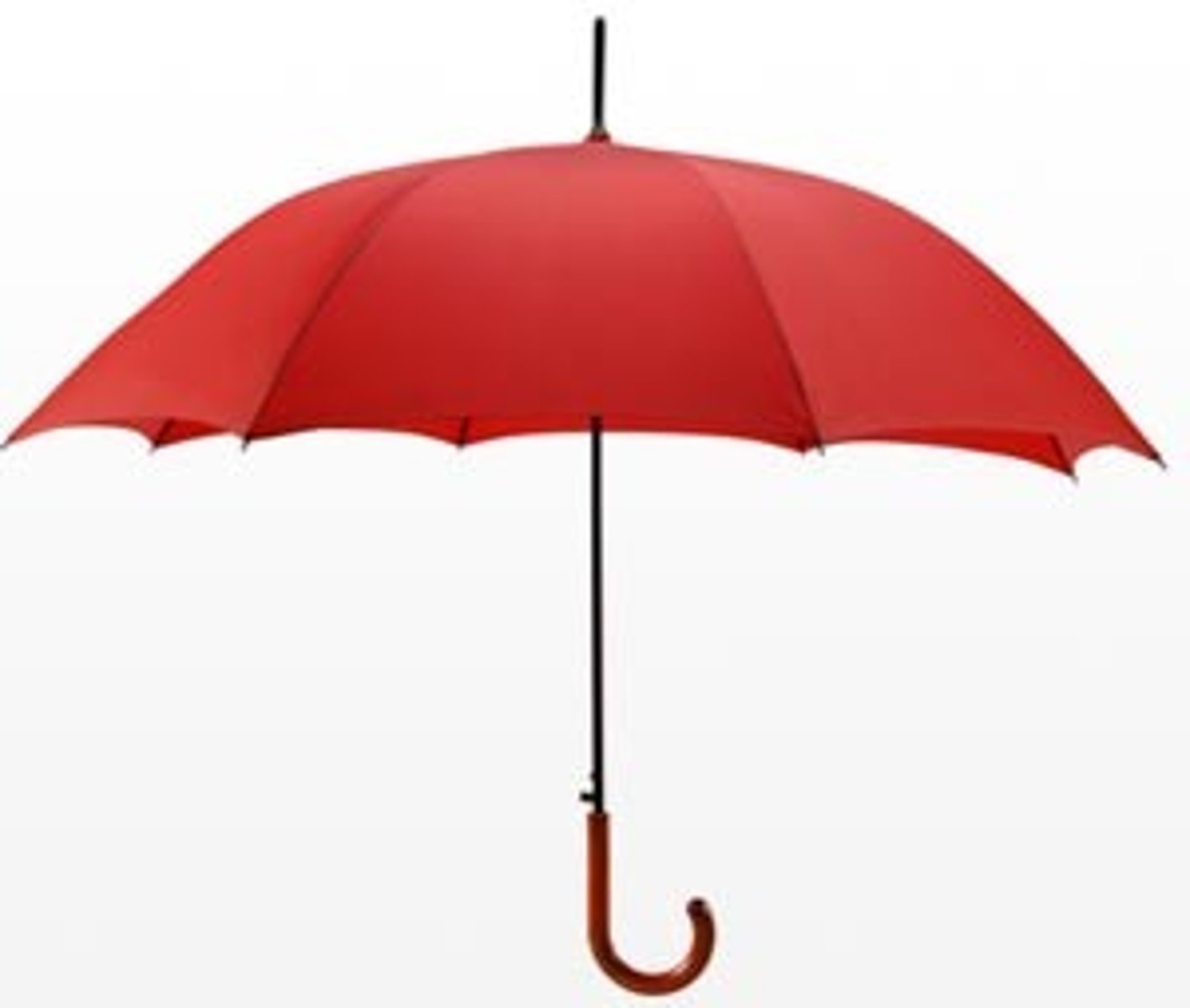 <p>umbrella</p>