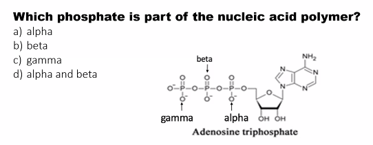 <p>a)&nbsp;</p>