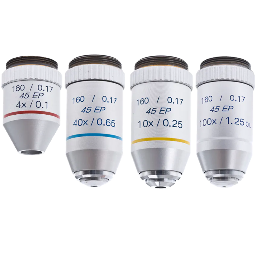 <p><span><span>The primary lenses closest to the object being looked at in a microscope.</span></span></p>