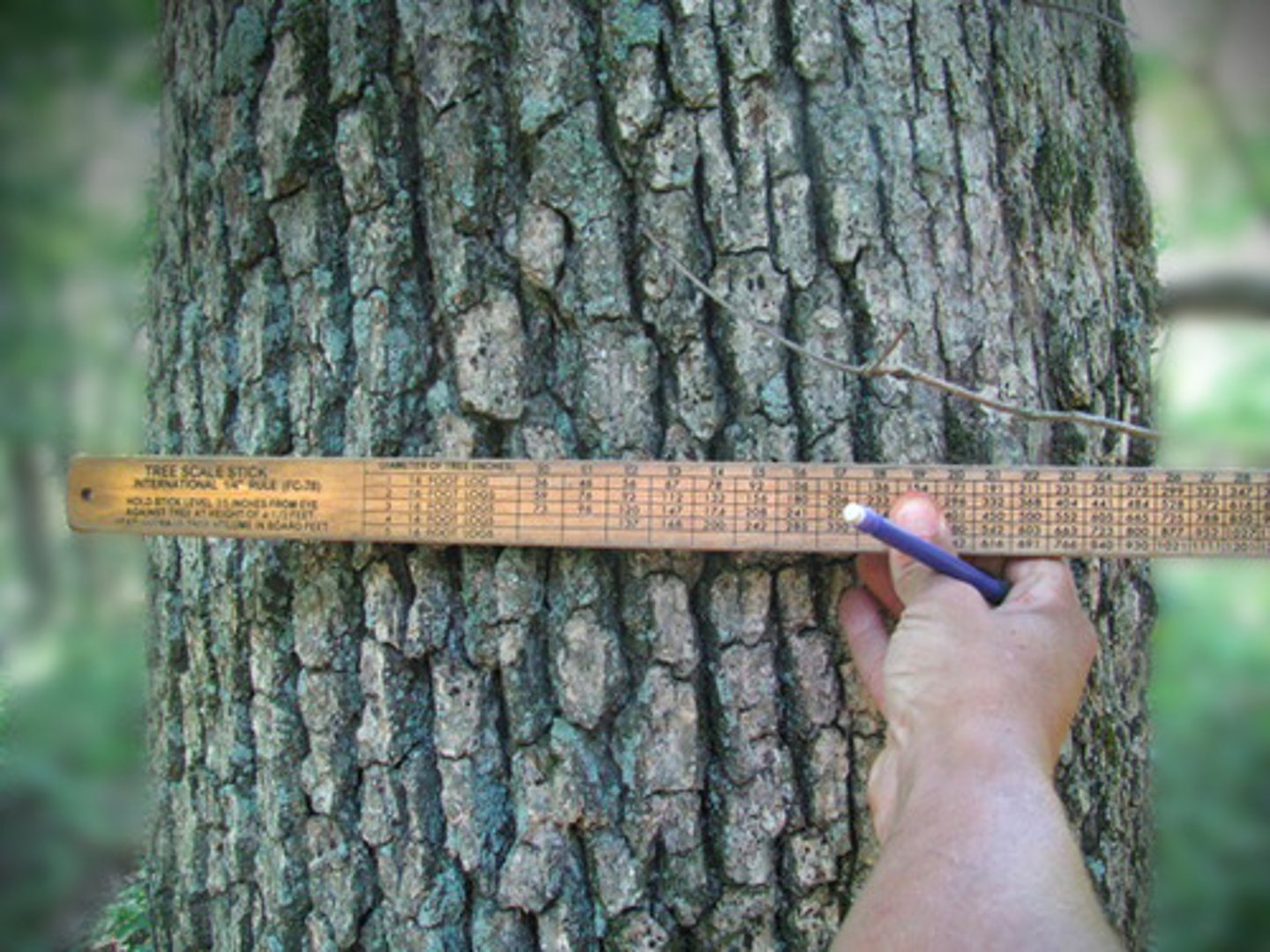 <p>Used to measure tree height, diameter and board foot volume.</p>