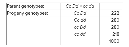 <p><span>A dihybrid testcross is made to determine if genes </span><em>C</em><span> and </span><em>D</em><span> are linked. The results are shown in the table.</span></p><p>Calculate Chi-square value and determine whether genes C and D are linked. Which of the following statements is correct?&nbsp;</p><p style="text-align: start">***X² for df=3 is 7.81</p><p style="text-align: start"></p><p style="text-align: start">Chi-square value is 14.4; C &amp; D are linked</p><p>&nbsp;</p><p>Chi-square value is 10.8; C &amp; D are linked</p><p>&nbsp;</p><p>Chi-square value is 10.8; C &amp; D are not linked</p><p>&nbsp;</p><p>Chi-square value is 14.4; cannot determine the linkage</p><p>&nbsp;</p><p>Chi-square value is 14.4; C &amp; D are not linked</p><p>&nbsp;</p><p>Chi-square value is 10.8; cannot determine the linkage</p>