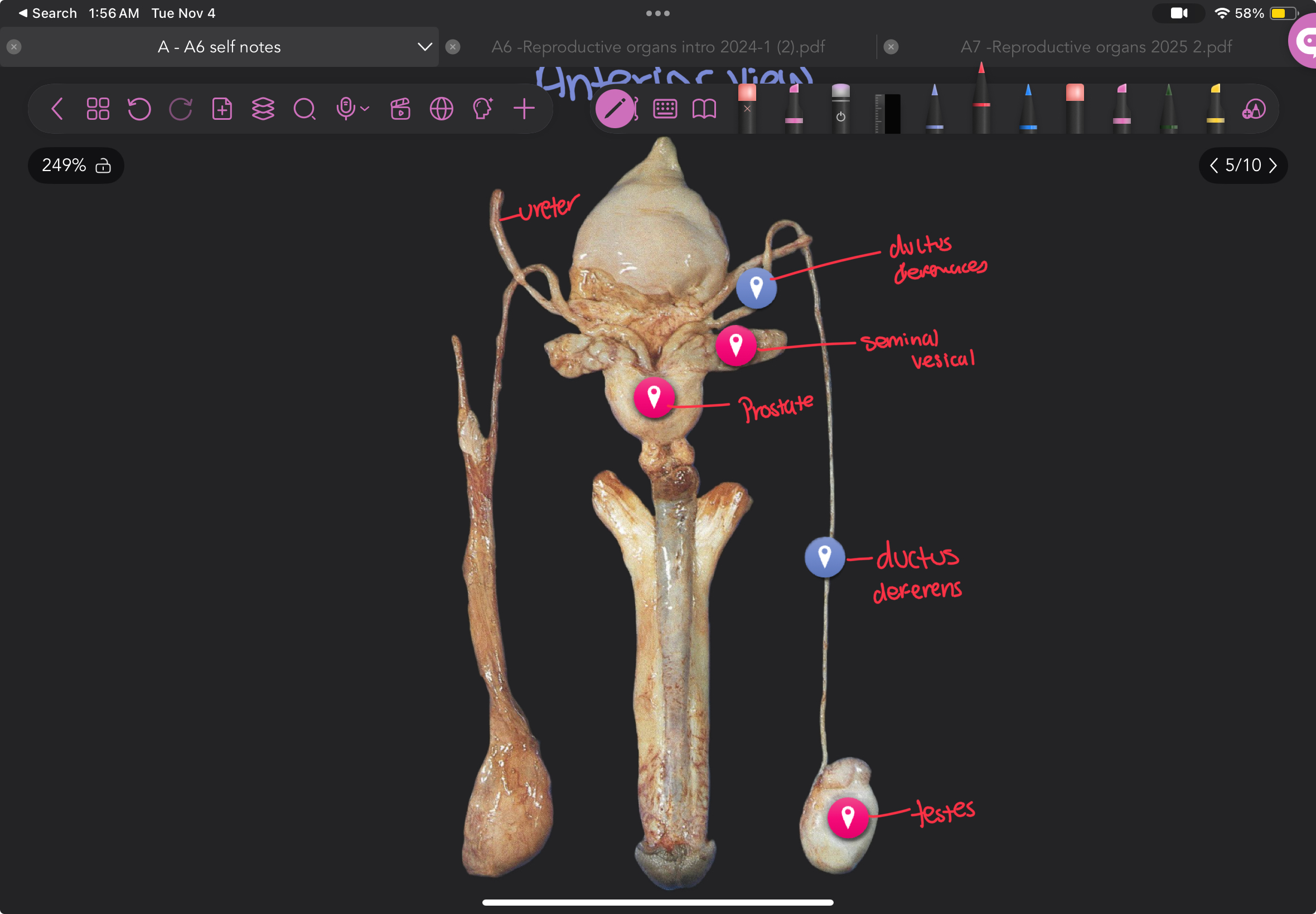 knowt flashcard image