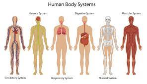 organ \`\`\`\`\`\`\`\`\`\`\`\`\`\`\`\`\`\`\`\`\`\`\`\`\`\`\`\`\`\`\`system 
