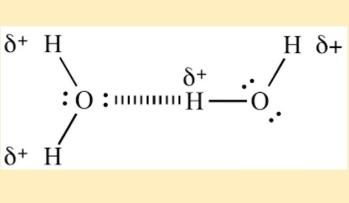 <p>a lone pair of electrons on an electronegative atom in one molecule and a hydrogen atom in a different molecule</p>