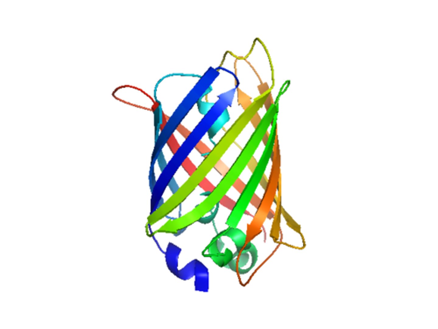 <ul><li><p>folding of a polypeptide chain into a 3d conformation</p></li><li><p>hydrogen bonds between polar r-groups</p></li><li><p>hydrophobic interaction between non-polar R-groups</p></li><li><p>covalent bonds/ dissulfide bridges between R-groups of cysteine amino acids</p></li><li><p>Ionic bonds between R-groups with opposite charges</p></li><li><p>This gives protein specific shape - function</p></li></ul><p></p>