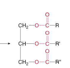 <p>Which compound is the following?</p>