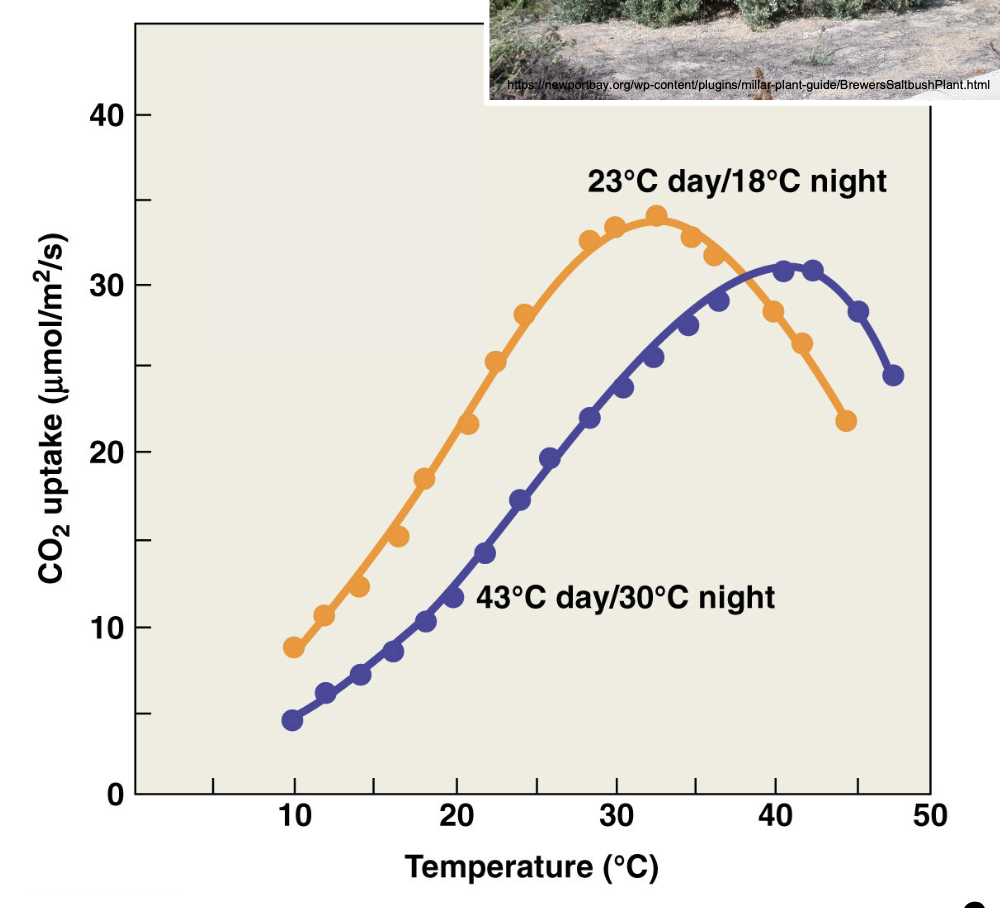 <p>this graph demonstrates what? and what response ?</p>