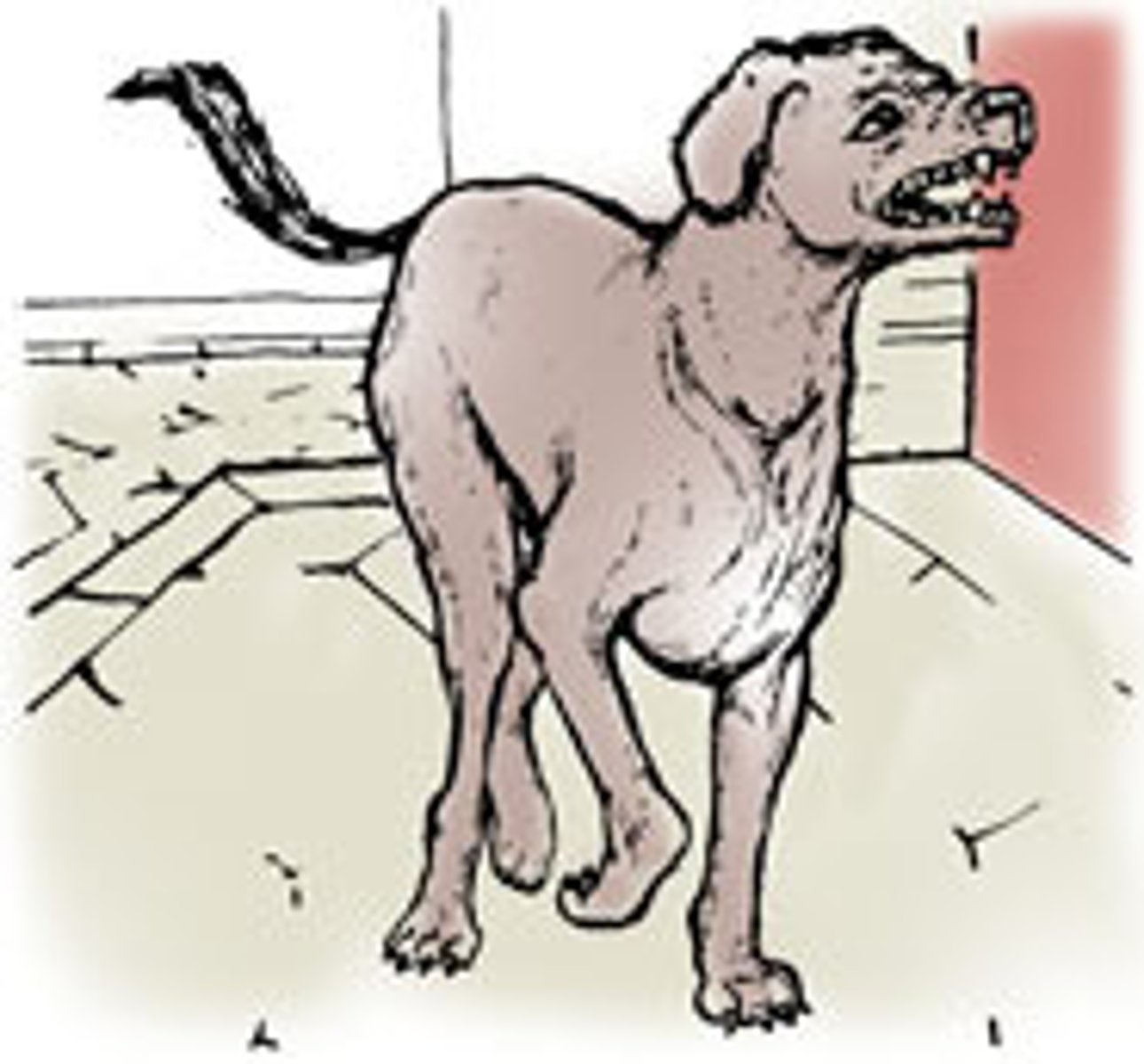 <p>Suddenly a dog barked.</p>