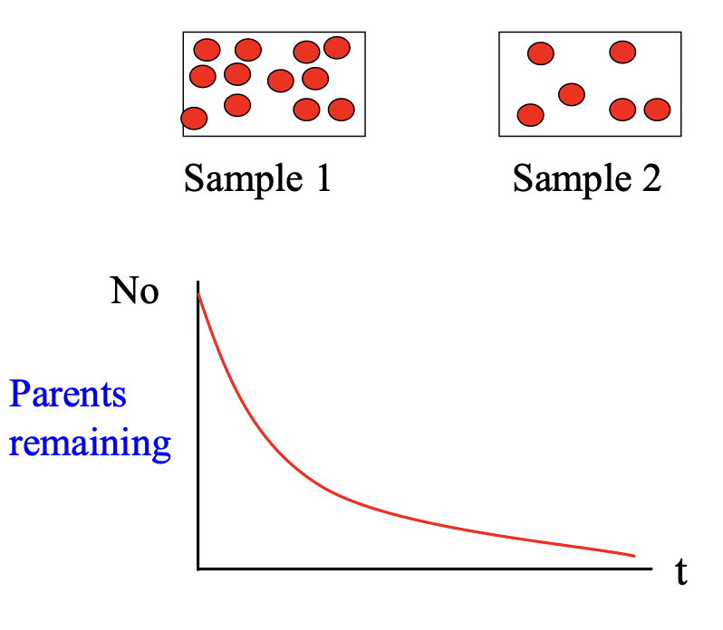 <p>∆<em>N </em>= −λ<em>N</em>∆<em>t</em></p><ul><li><p>λ<em> = decay constant </em></p></li><li><p><em>N = number of nuclei present in a sample </em></p></li><li><p>∆<em>N = decay in a given time interval. </em></p></li><li><p>∆<em>t = time interval during which decay occurs. </em></p></li></ul><p></p><p>N = N0 e^(−λ<em>t)</em></p><ul><li><p><em>N = nuclei remaining </em></p></li><li><p><em>N0 = original nuclear  </em></p></li></ul><p></p>