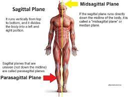 sagittal plane that lies exactly in the midline
