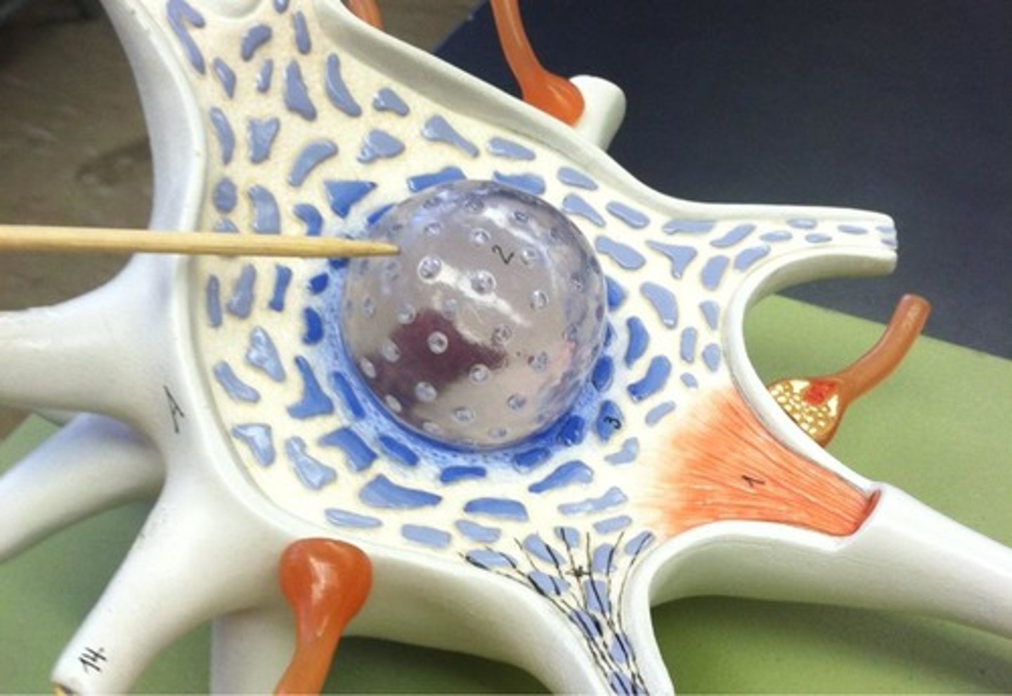 knowt flashcard image