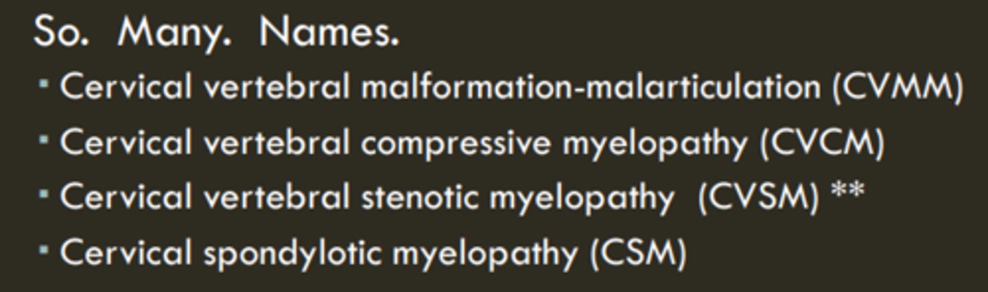 <p>- osseous associated</p><p>- Abnormal gait and cervical hyperesthesia</p><p>- many names</p>