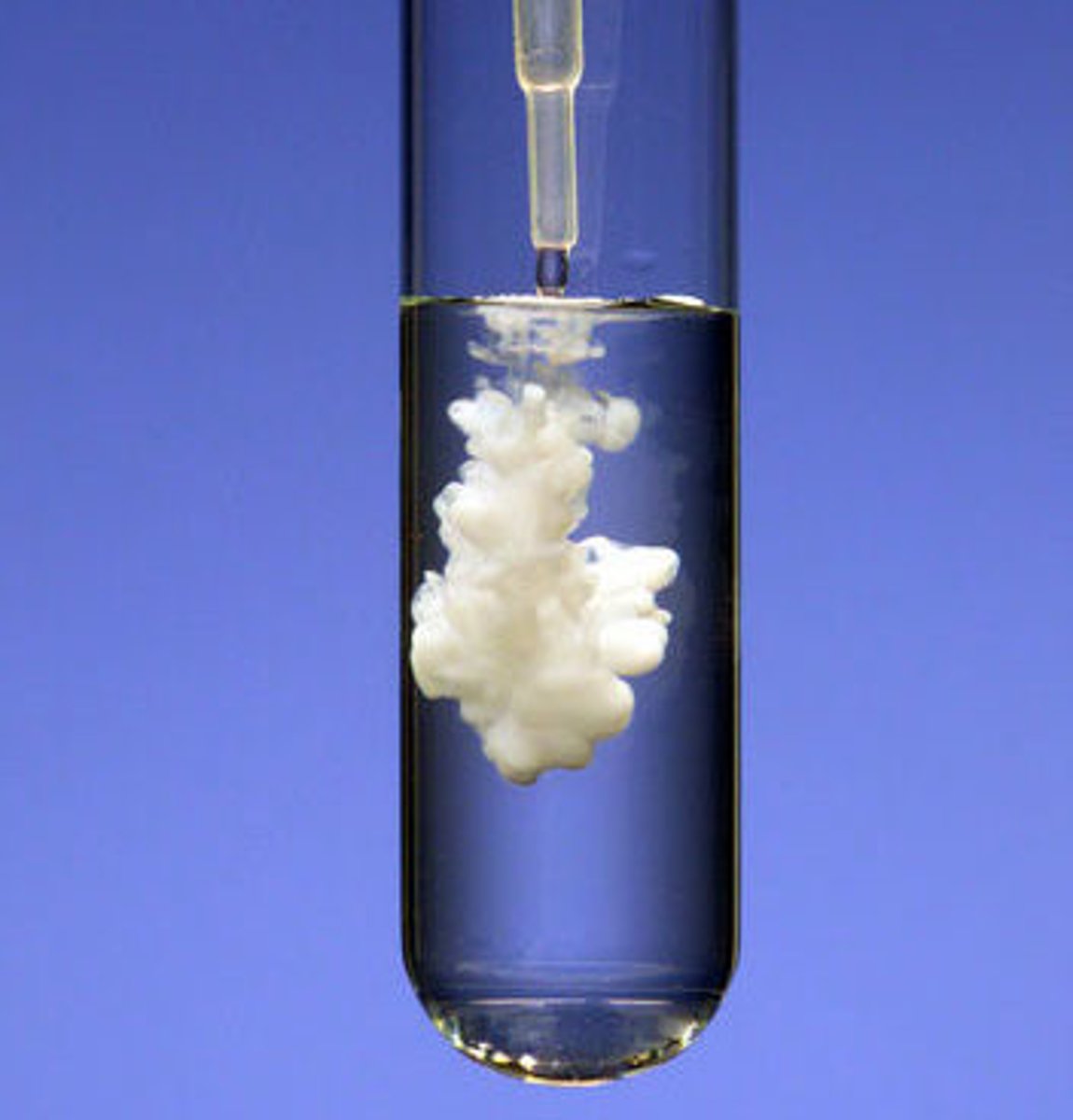 <p>A reaction where a solid is formed. Two soluble salts can react with one another in such a reaction to produce an insoluble salt and a soluble salt, e.g, magnesium iodide + silver nitrate= magnesium nitrate (aq) + silver iodide (s).</p>