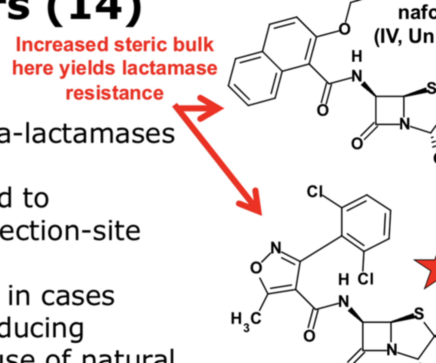 <p>increased steric bulk in the amide side chain</p>