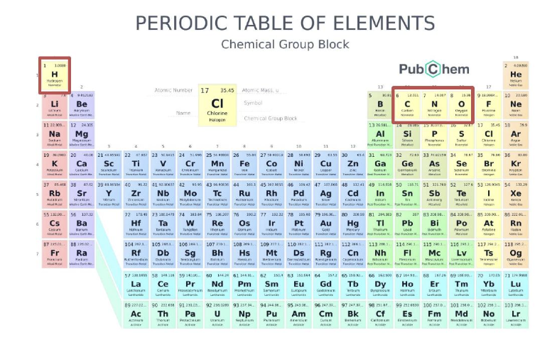 <p>hydrogen, carbon, nitrogen, and oxygen</p>