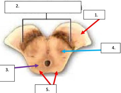 <p>1</p>