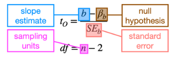 <p>Slope null and alternative hypotheses</p>
