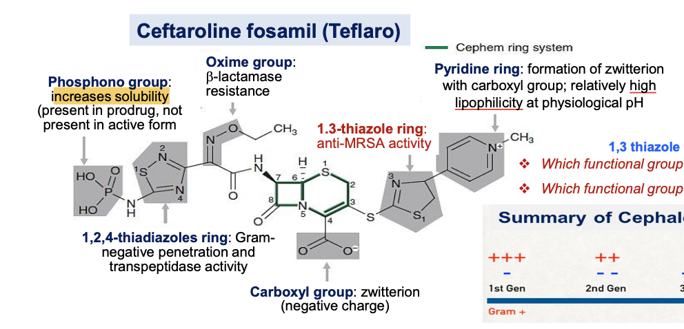 <ol><li><p>1,3 thiazole ring → MRSA</p></li><li><p>Phosphono group → Solubility </p></li></ol><p></p>