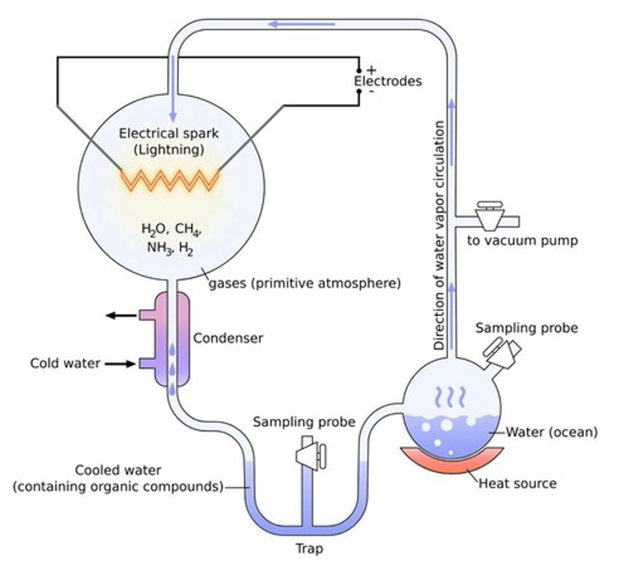 <p>Mimicked early earth conditions to show abiogenesis theory. But might not have perfectly replicated earth’s early environment.</p><p>Water, ammonia (NH3), methane (CH4), hydrogen (H2), heat, and electricity (to mimic lightning). AAs were found to have formed after about a week. Later experiments showed that nucleotides can form under similar conditions.</p>