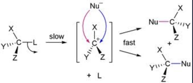 <ul><li><p>Two Step reaction </p></li><li><p>first step is the bond being broken and the second step is the addition of the nucleophile</p></li></ul><p></p>