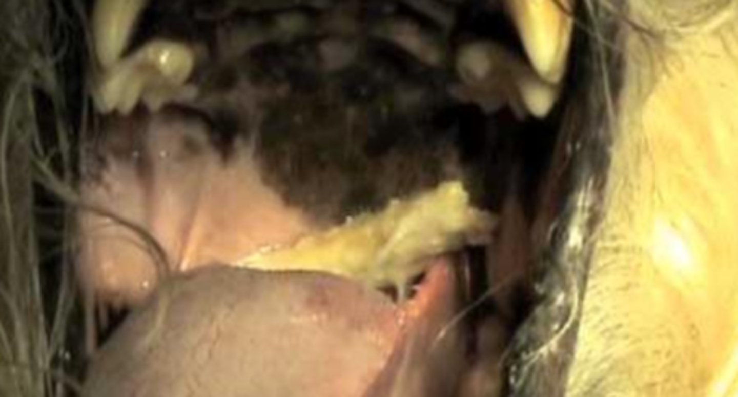 <p>what is the problem here?</p>